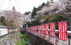 桜祭り