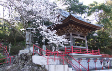 田村神社祭り